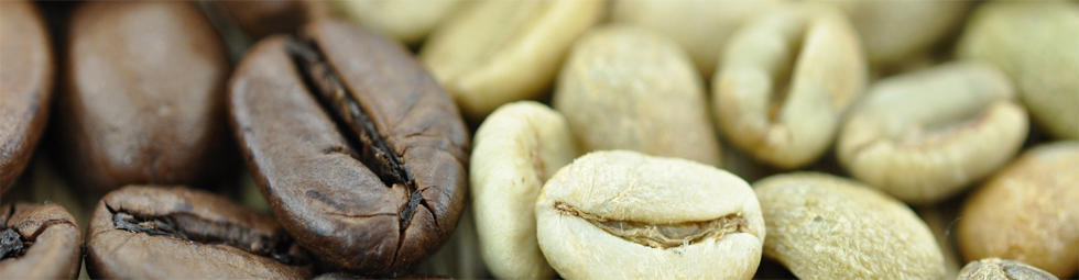 Impressionen rund um den Kaffee 8