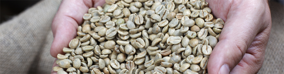 Impressionen rund um den Kaffee 5