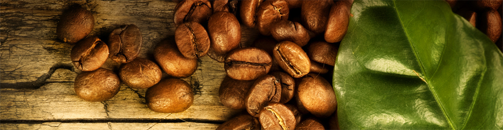 Impressionen rund um den Kaffee 11