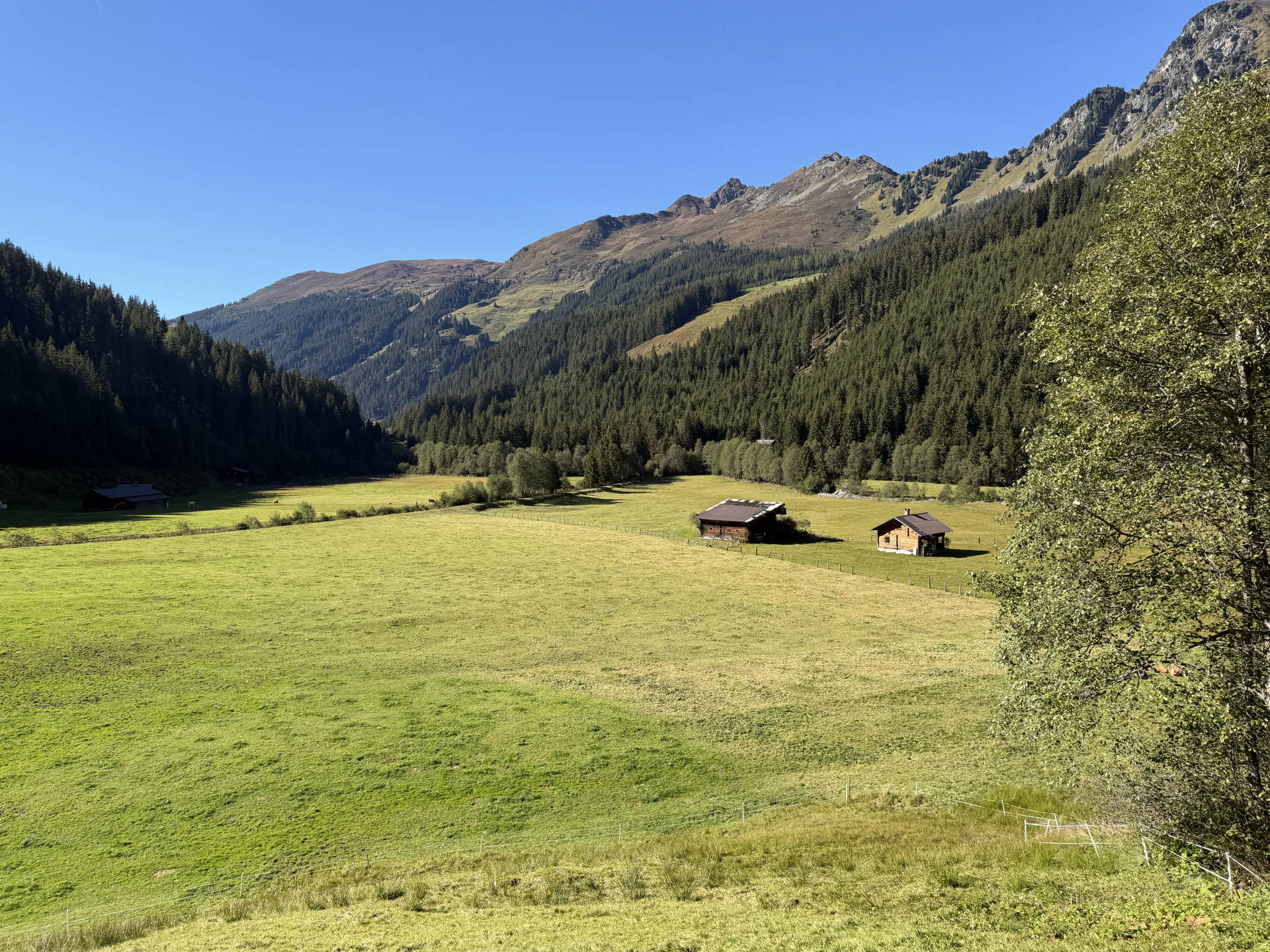 Alpental mit Almwiese, zwei Hütten, Nadelwald und Bergen unter blauem Himmel in Tirol
